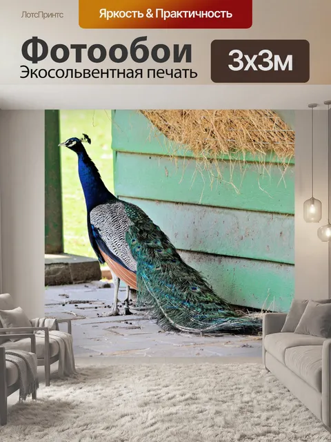 Фотообои Павлин