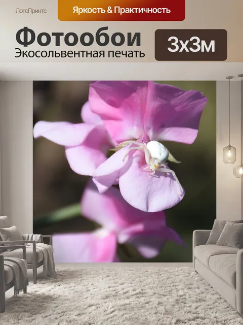 Фотообои Горошек