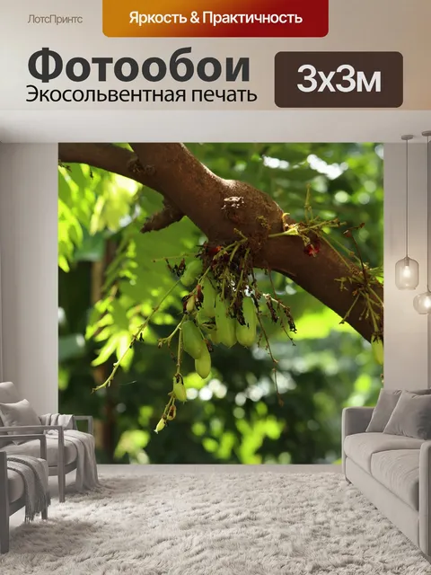 Фотообои Фрукты