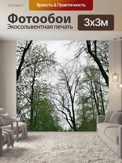 Фотообои высокие деревья