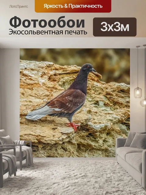Фотообои Птица