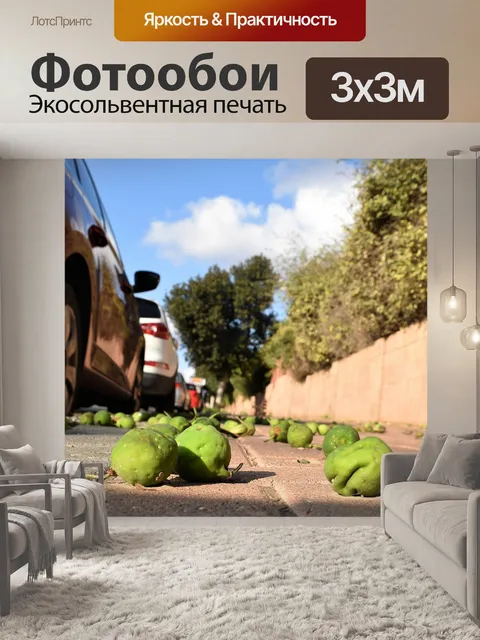 Фотообои Машины