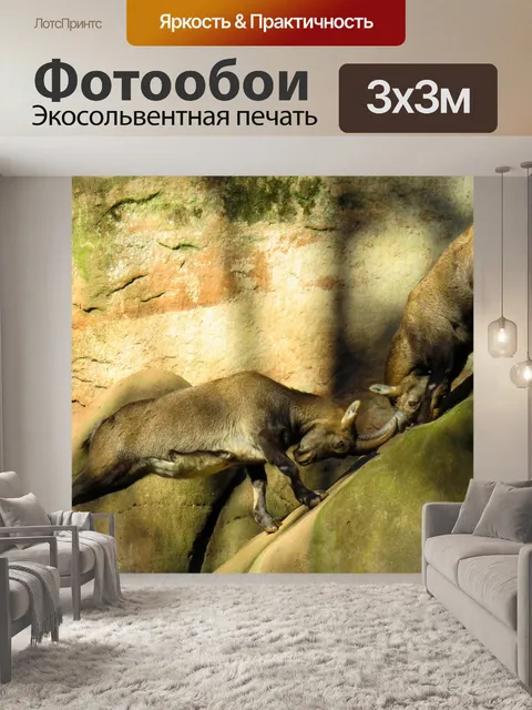 Фотообои Животное