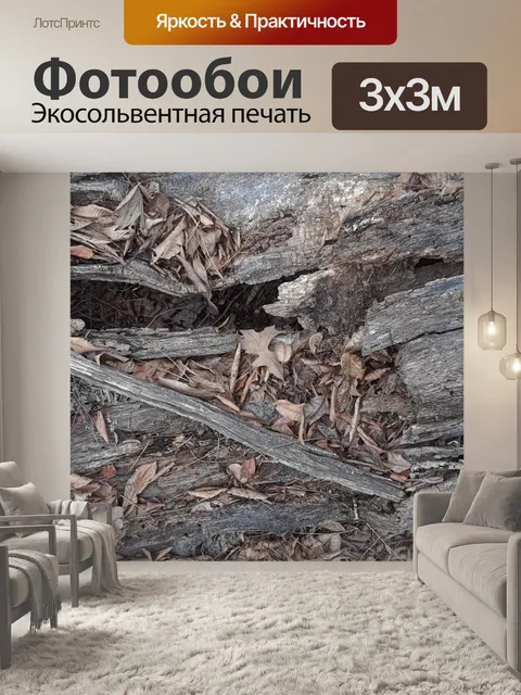 Фотообои Разлагающееся бревно на лесном полу