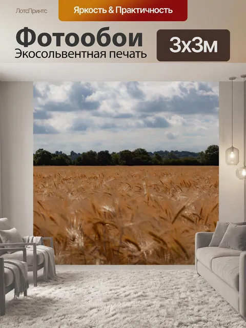 Фотообои Поле пшеницы