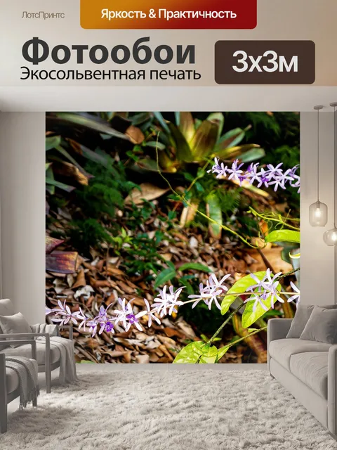 Фотообои Природа