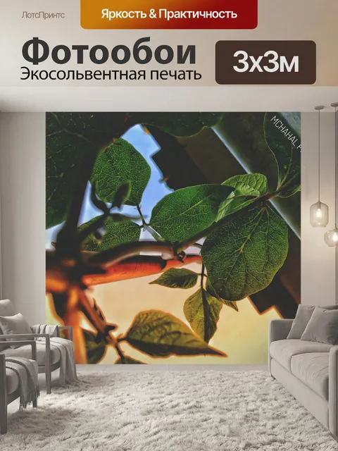 Фотообои Растения