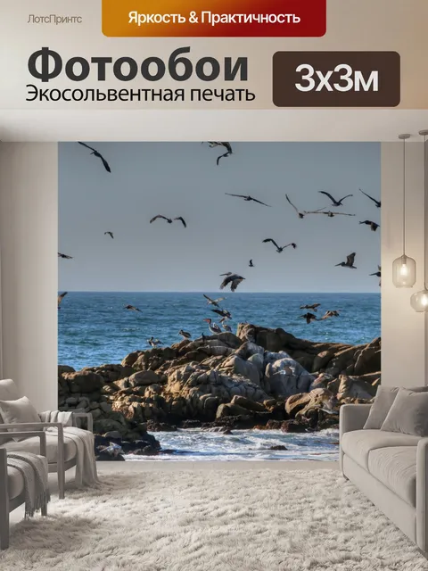 Фотообои Пеликаны, принимающие рейс
