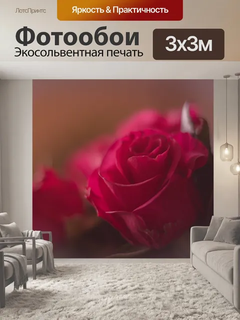 Фотообои Тюльпан