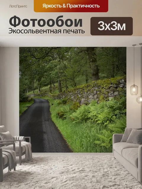 Фотообои Путь через лес