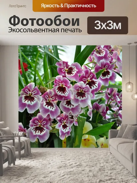 Фотообои Орхидеи