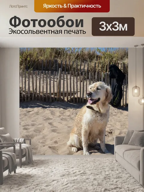 Фотообои Собака