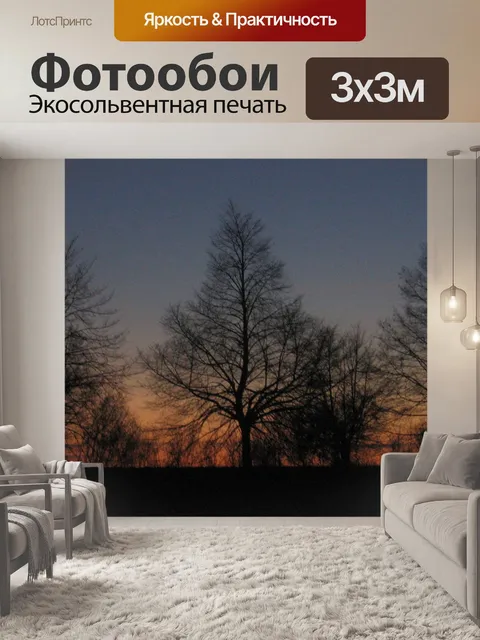 Фотообои Сумерки