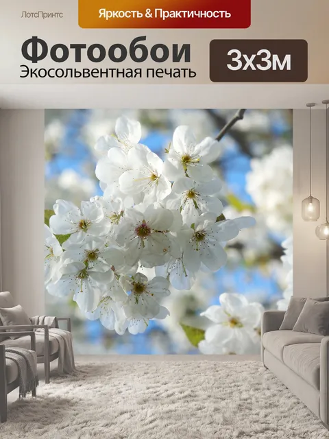 Фотообои Цветы вишни