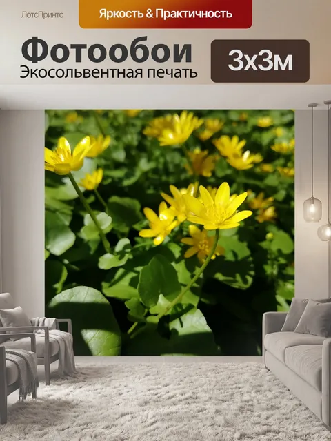 Фотообои Лесной
