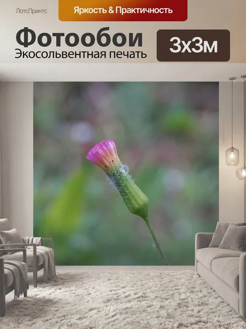Фотообои Макро цветок