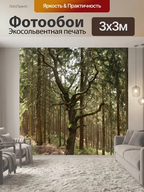 Фотообои Лес