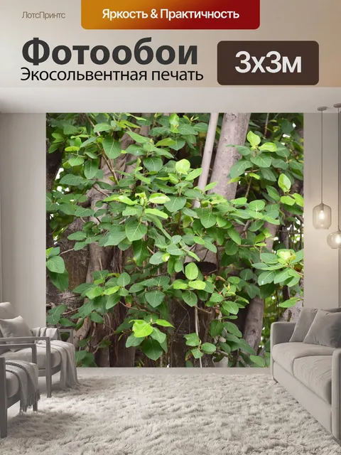 Фотообои Листва деревьев 3