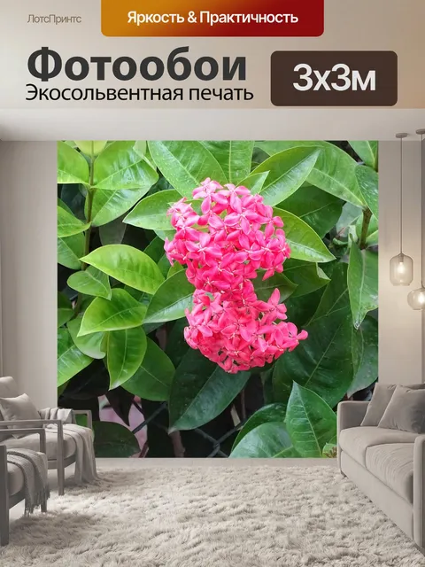Фотообои Цветы