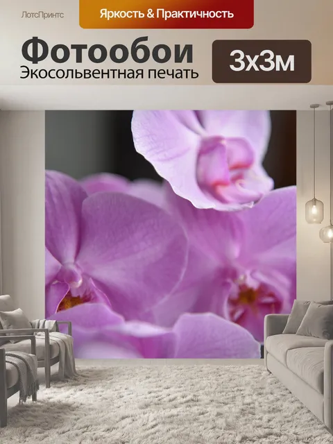 Фотообои Орхидеи