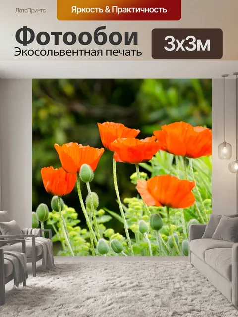 Фотообои маки