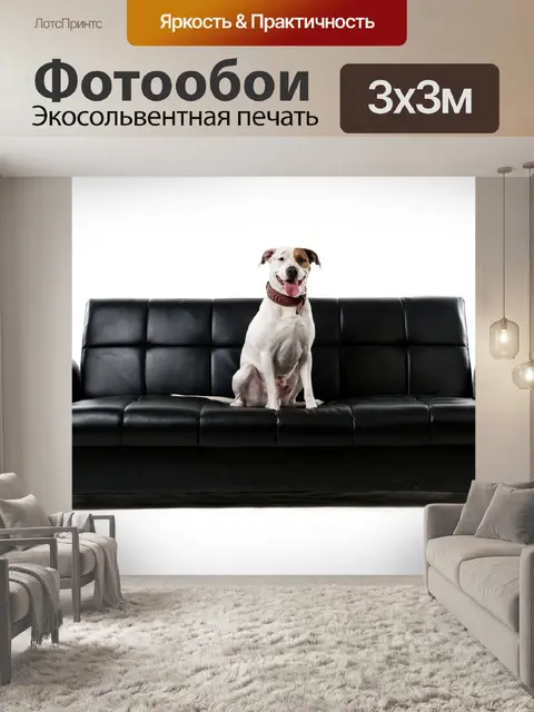 Фотообои Собака