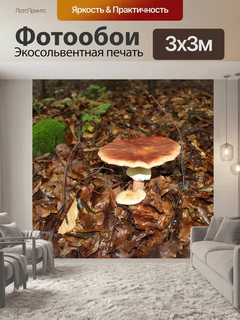 Фотообои Гриб