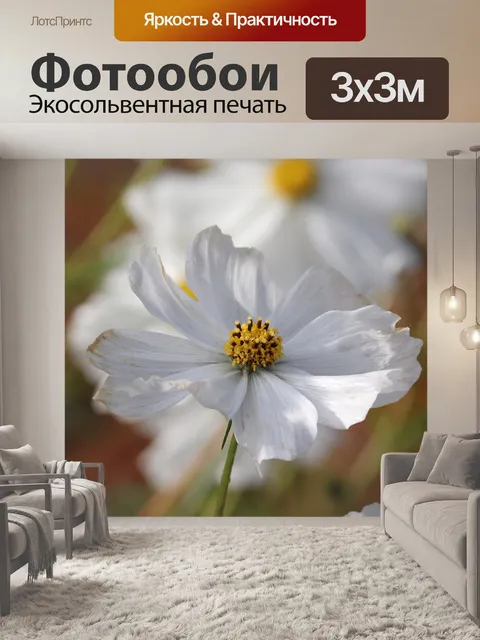 Фотообои Цветок