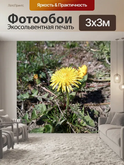 Фотообои Золотое руно