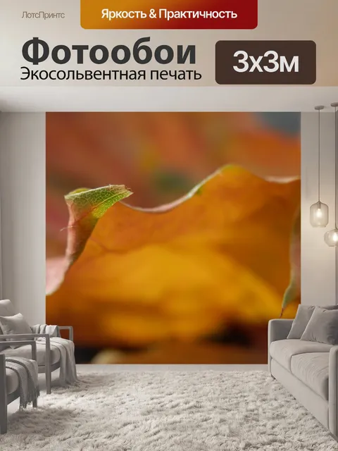 Фотообои Осенние листья