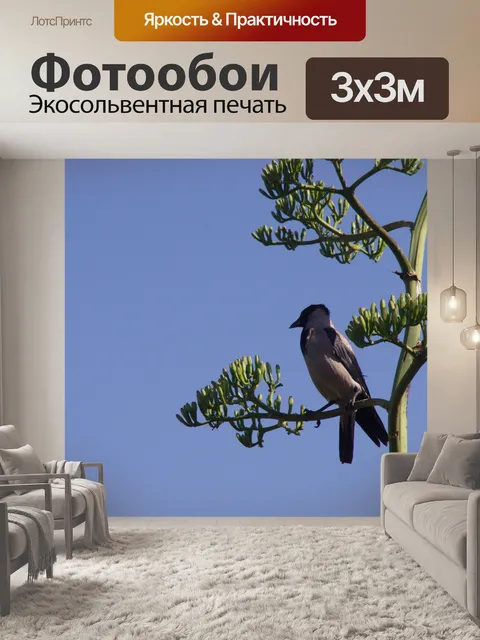 Фотообои Индийская птица майна в дереве