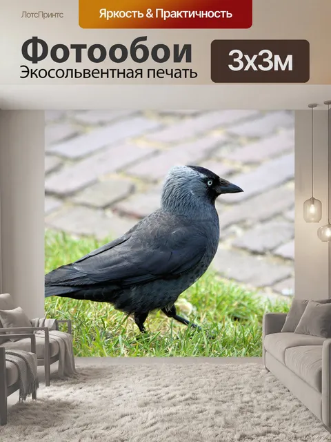 Фотообои Птицы