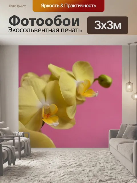 Фотообои Орхидея