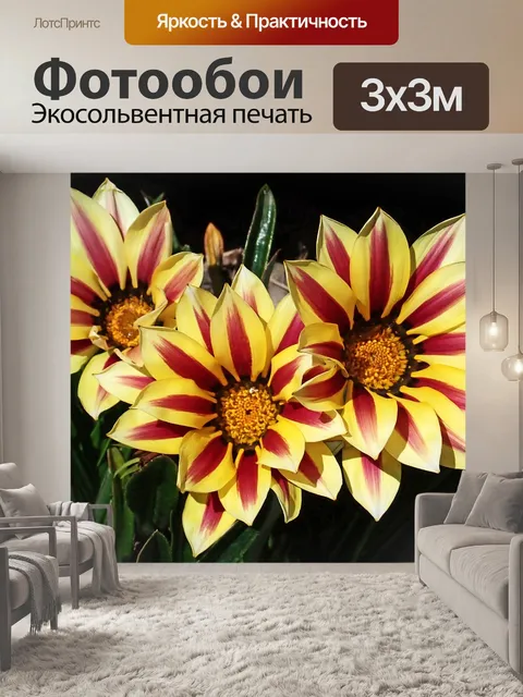 Фотообои Цветы