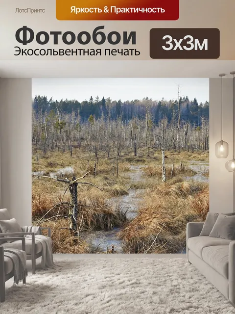 Фотообои Болото