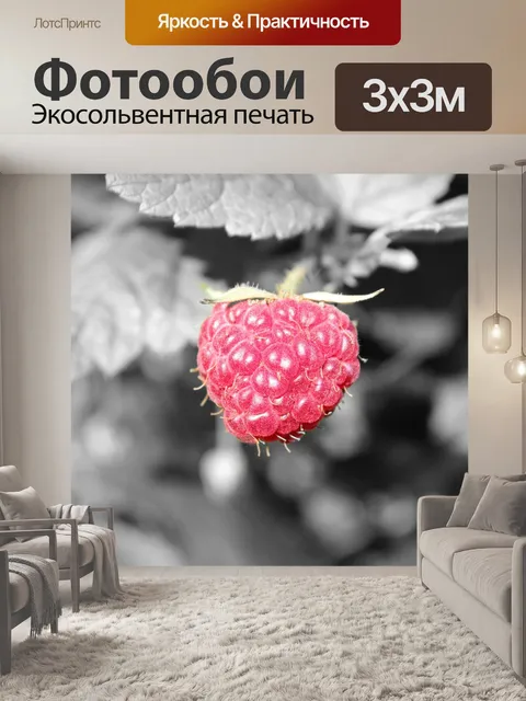 Фотообои Природа