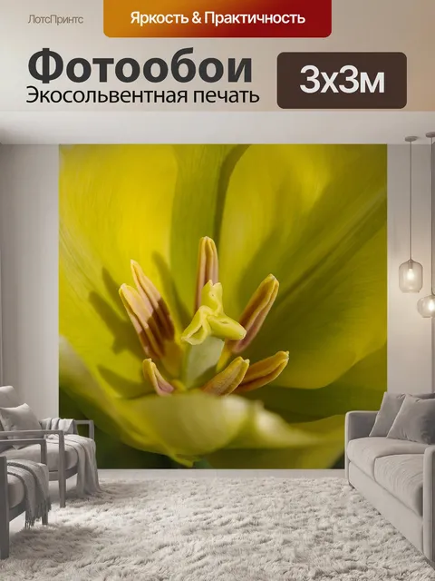 Фотообои Тюльпаны