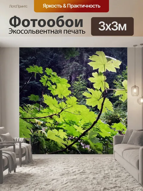 Фотообои Зелень