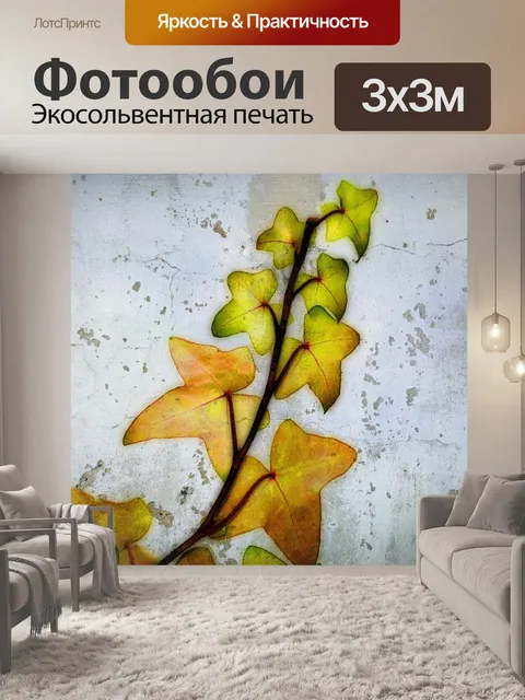 Фотообои Плющ