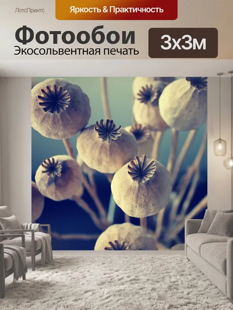 Фотообои Маки