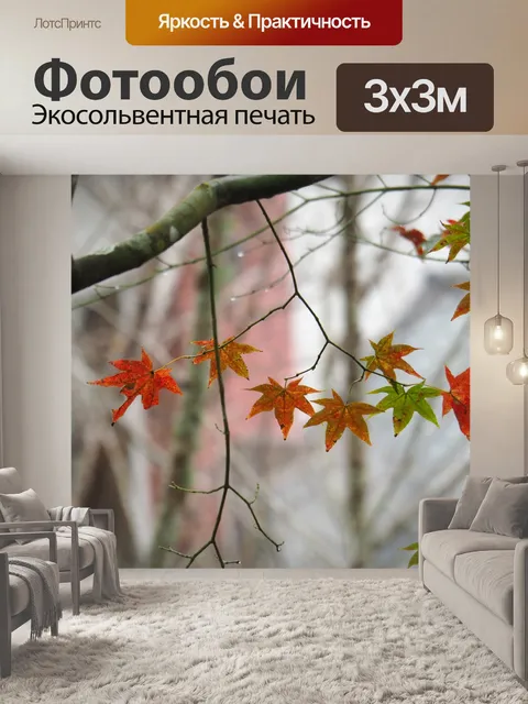 Фотообои Кленовый лист