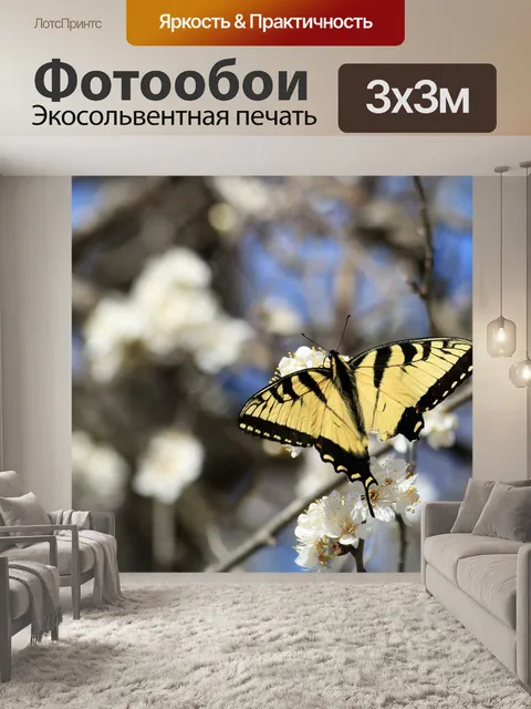 Фотообои Восточный тигровый махаон весной