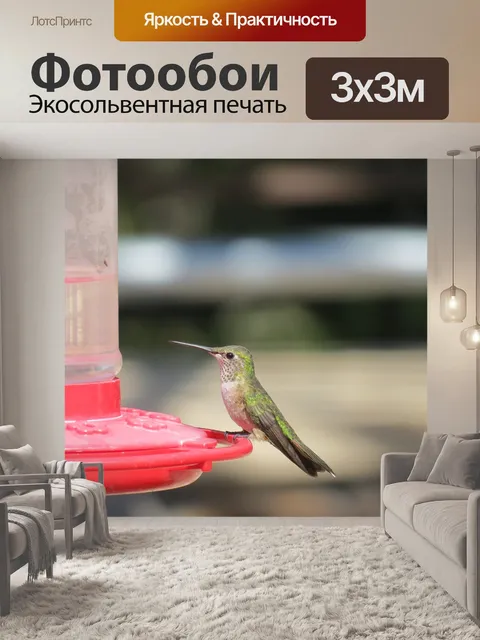 Фотообои Птица