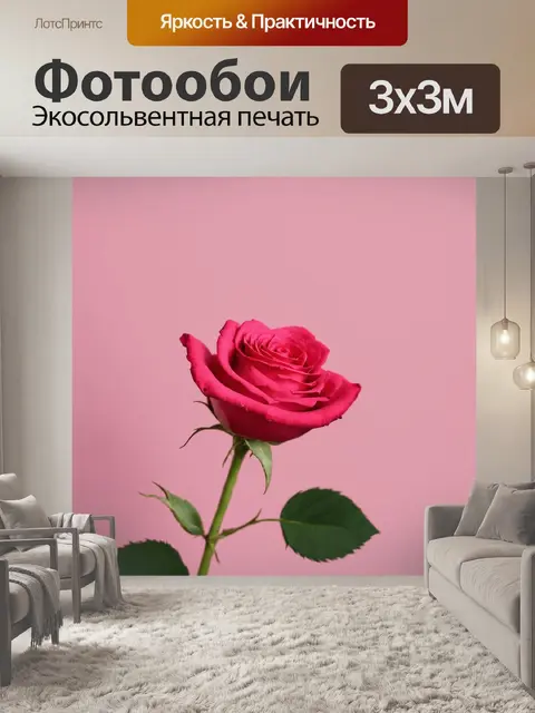 Фотообои розы в стиле минимализм