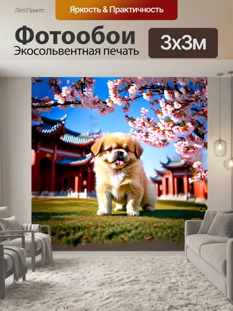 Фотообои щенок пекинеса с игривым настроением