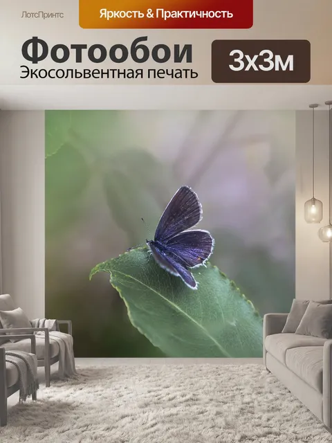 Фотообои Бабочка