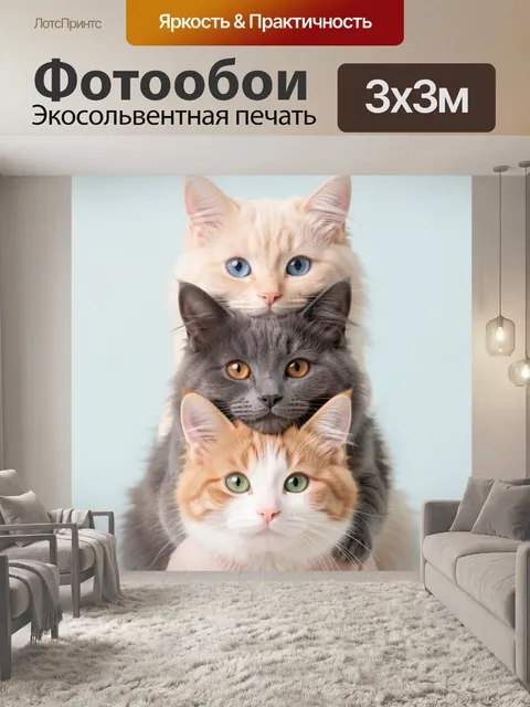 Фотообои Три пушистых кота в ряд