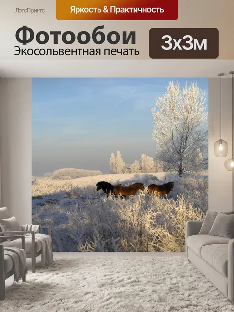 Фотообои Мороз