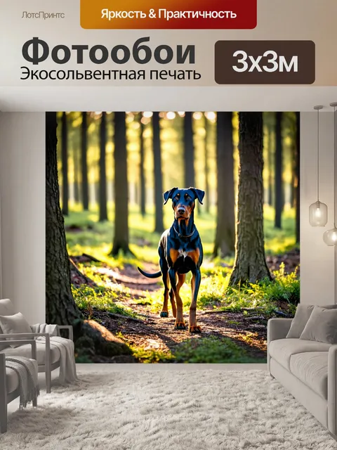 Фотообои доберман, исследующий лес во время рассвета, солнце пробивается сквозь деревья, интересная природная среда…
