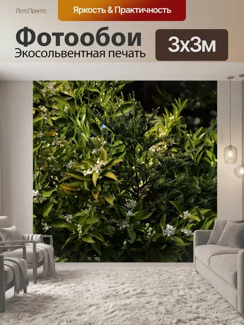 Фотообои Природа